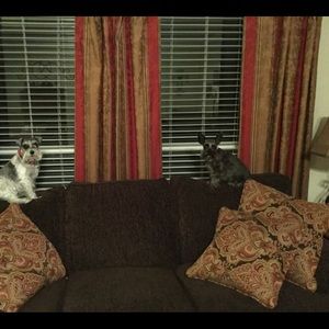 Meet your Posher, Cynde